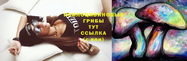 mix Сясьстрой