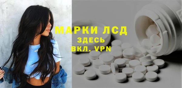 стаф Тавда