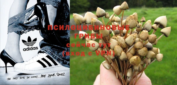 прущий лед Бугульма