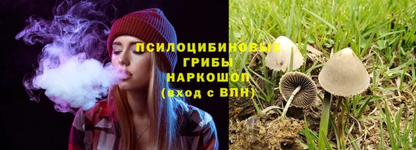 стаф Тавда